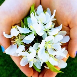 Meet your Posher, Thea.